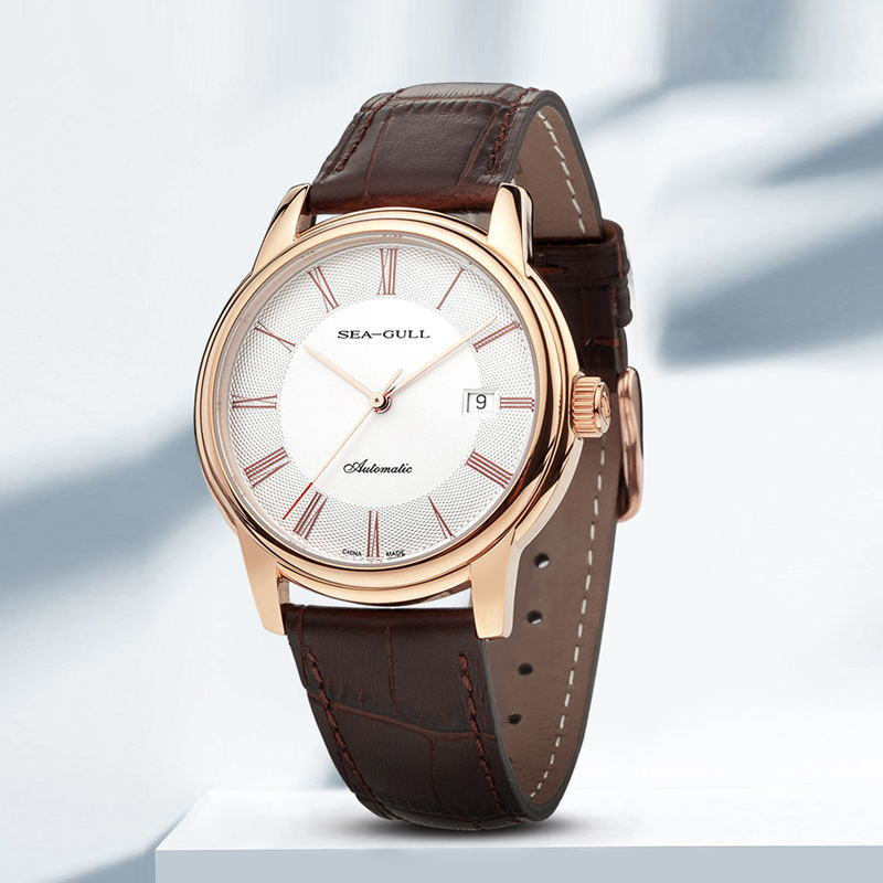 Seaghydr-montre mécanique pour - Seiko Watch Presage avis et prix