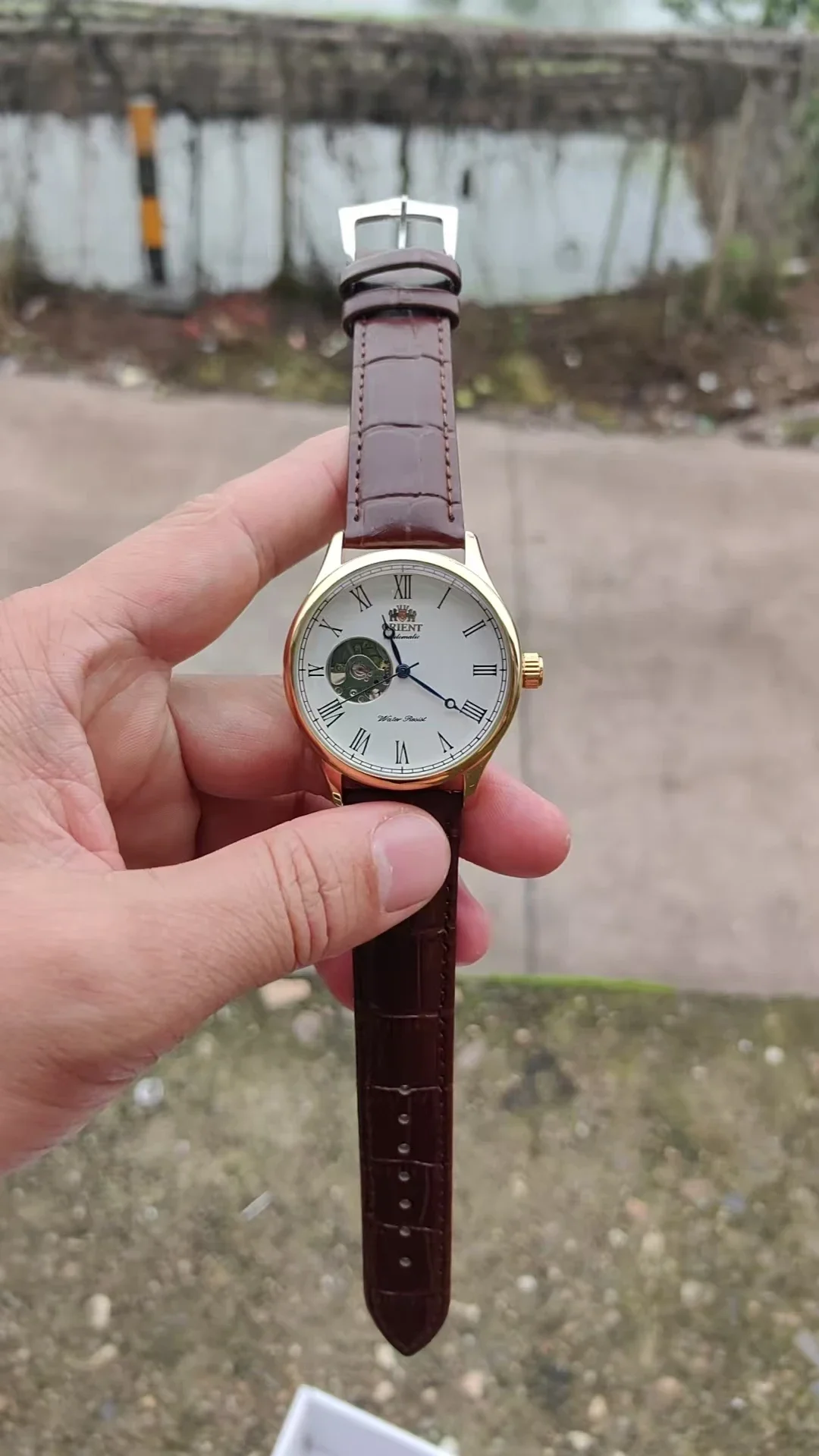 Montre squelette mécanique DFD - Seiko Watch Presage avis et prix